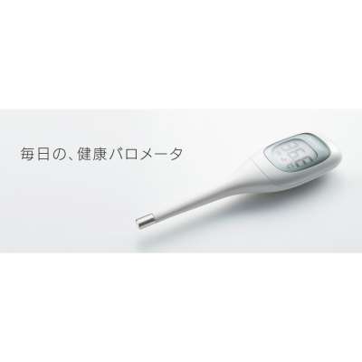 Japan import wholesale hot sale digital thermometer for baby